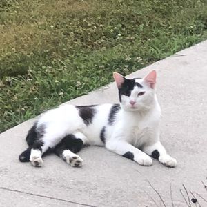 Meet your Posher, Crystal